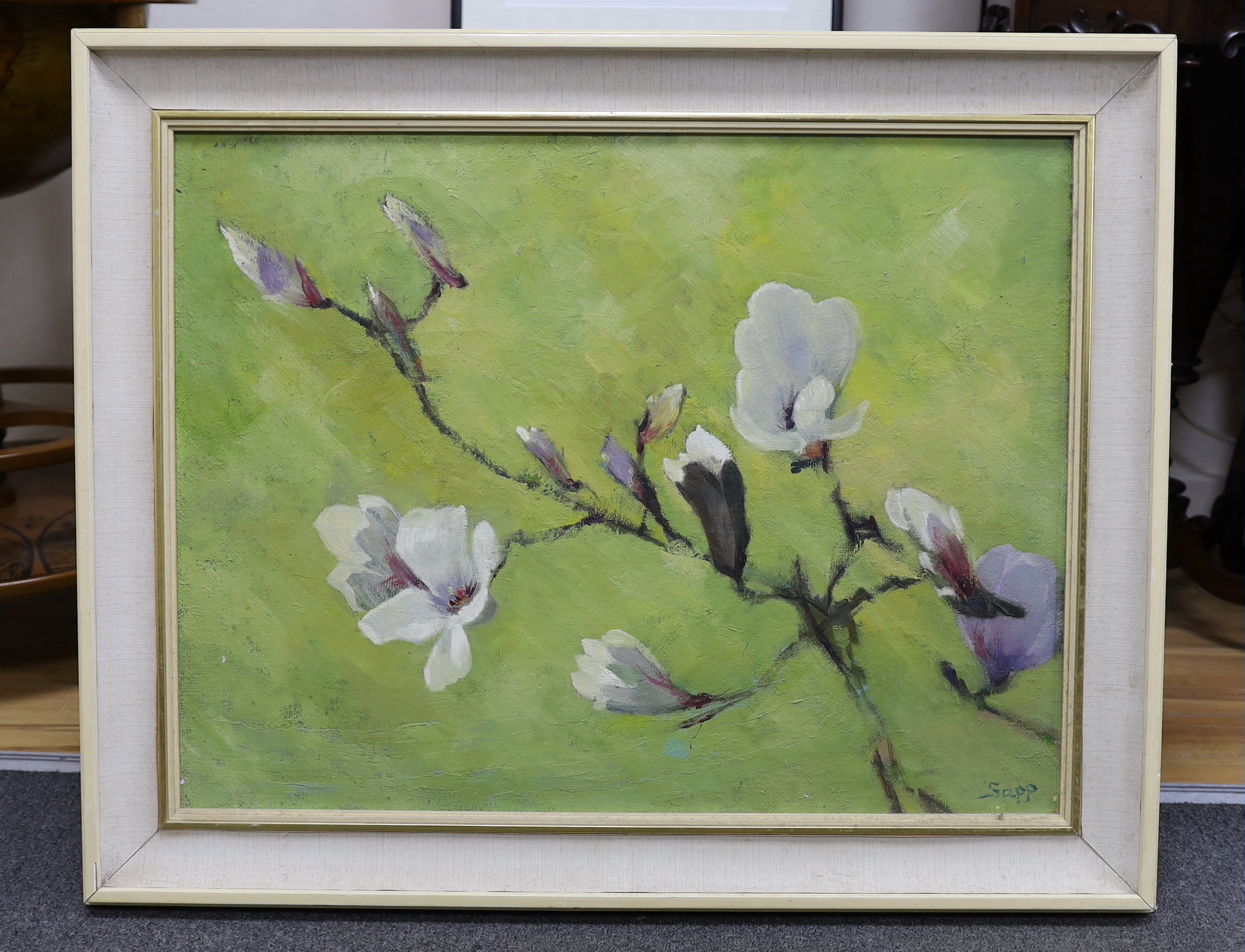 Prue Sapp (1928-2013), oil on canvas, Study of a magnolia blossom, signed, 49 x 65cm